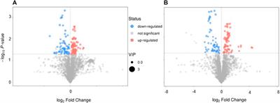 Association Among the Gut Microbiome, the Serum Metabolomic Profile and RNA m6A Methylation in Sepsis-Associated Encephalopathy